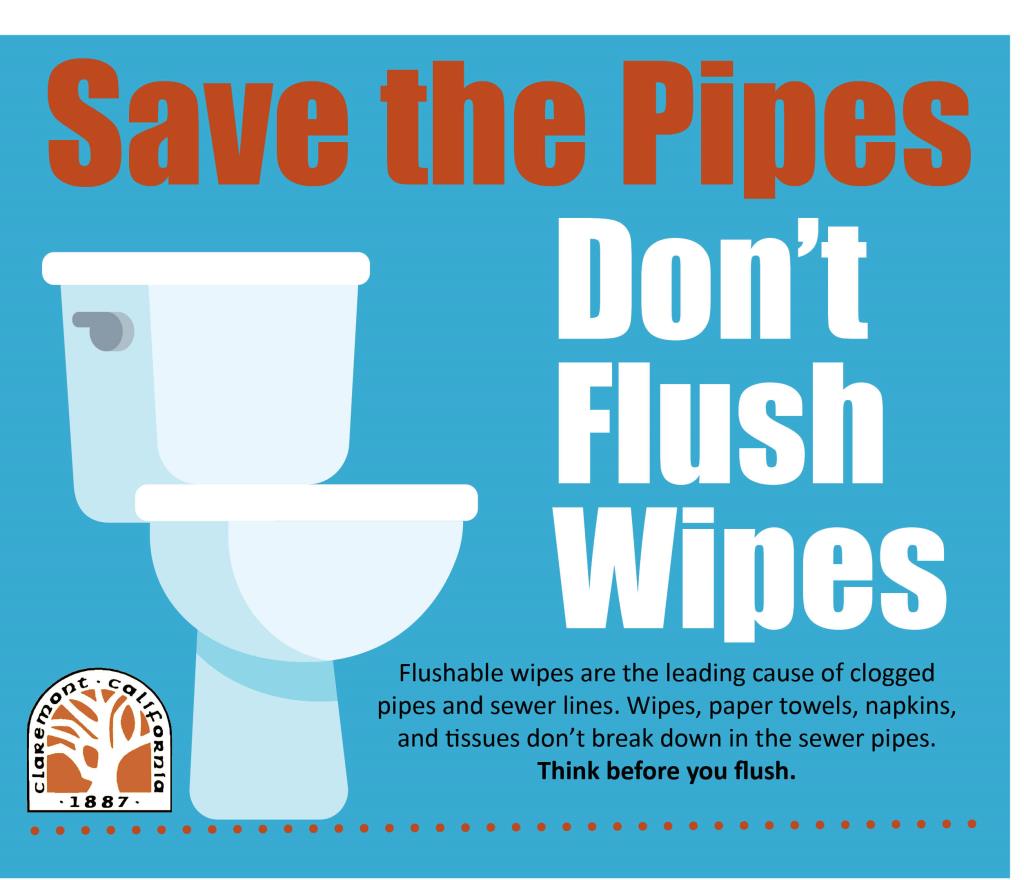 Save the pipes, don't flush wipes. Flushable wipes are the leading cause of clogged pipes and sewer lines. Wipes, paper towels, napkins, and tissues don't break down in the sewer pipes. Think before you flush.