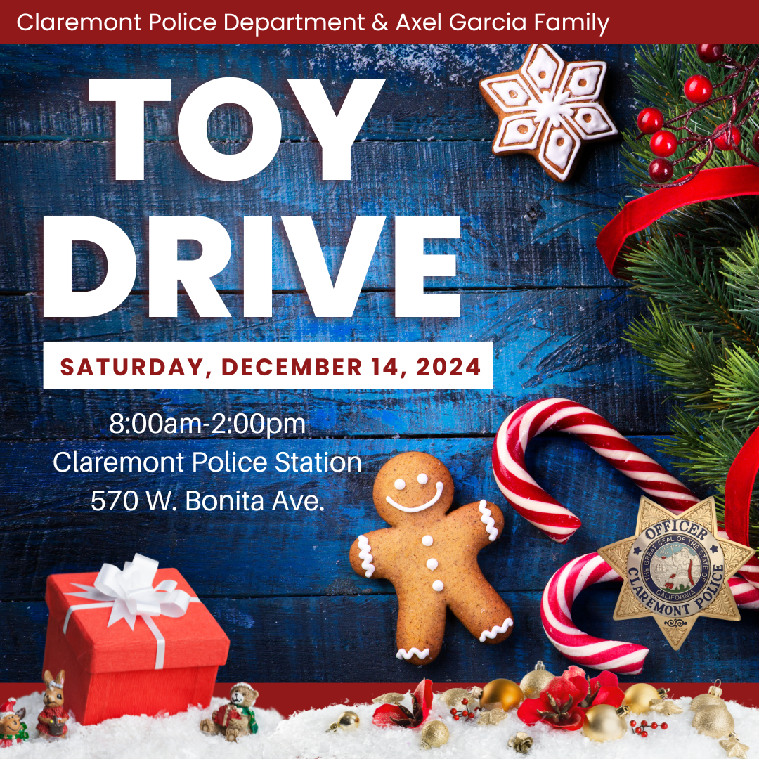 Toy Drive Graphic 