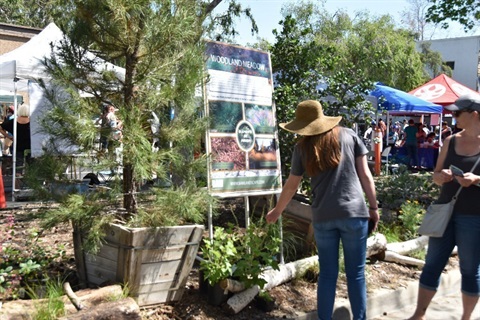 Earth Day Plants